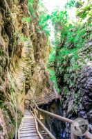 Watermark_71IMG_9295