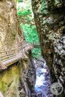 Watermark_72IMG_9296