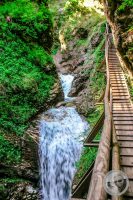 Watermark_73IMG_9297