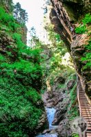 Watermark_74IMG_9298