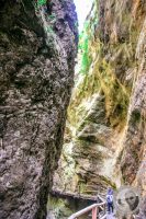 Watermark_75IMG_9299
