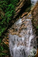Watermark_76IMG_9300