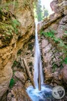 Watermark_79IMG_9302