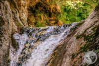 Watermark_81IMG_9304