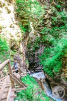 Watermark_82IMG_9305