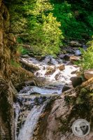 Watermark_83IMG_9306