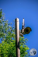 Watermark_84IMG_9307