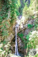Watermark_85IMG_9308