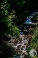Watermark_86IMG_9309