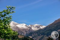 Watermark_87IMG_9310