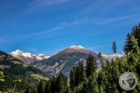 Watermark_91IMG_9314