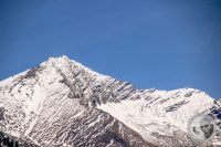 Watermark_92IMG_9315