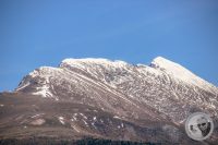 Watermark_93IMG_9316