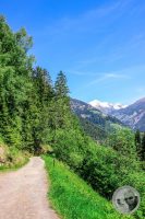Watermark_94IMG_9317