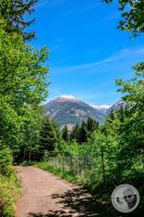 Watermark_95IMG_9318