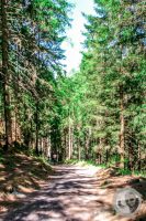 Watermark_97IMG_9320