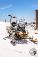 Watermark_30IMG_9362