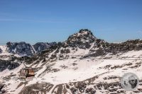 Watermark_32IMG_9364