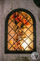 Watermark_5IMG_9342