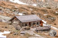 Watermark_61IMG_9393