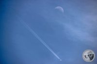Watermark_70IMG_9402