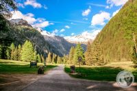 Watermark_11IMG_9414