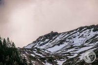 Watermark_12IMG_9415