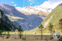Watermark_17IMG_9420