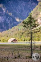 Watermark_19IMG_9422