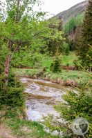 Watermark_20IMG_9423