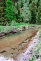 Watermark_21IMG_9424