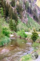 Watermark_22IMG_9425
