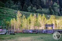 Watermark_23IMG_9426