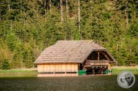 Watermark_25IMG_9428