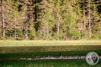 Watermark_30IMG_9433