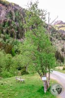 Watermark_34IMG_9437