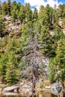 Watermark_105IMG_9505-2