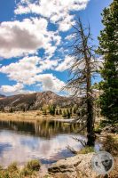 Watermark_109IMG_9509-2