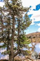 Watermark_113IMG_9513-2