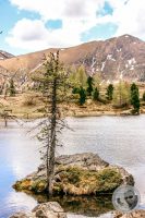 Watermark_115IMG_9515-2