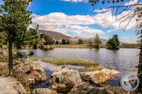 Watermark_119IMG_9519-2