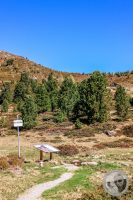 Watermark_11IMG_9447-2