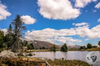 Watermark_121IMG_9521-2