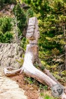 Watermark_124IMG_9524-2