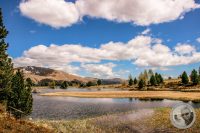 Watermark_129IMG_9529-2