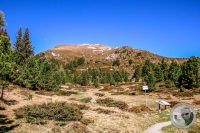 Watermark_12IMG_9448-2