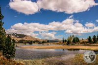 Watermark_130IMG_9530-2