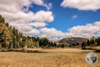 Watermark_134IMG_9534-2
