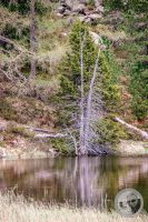 Watermark_135IMG_9535-2