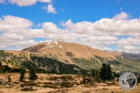 Watermark_138IMG_9538-2